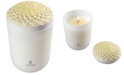Lladro Echoes of Nature Tropical Blossoms Candle 